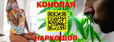 шишки Обнинск