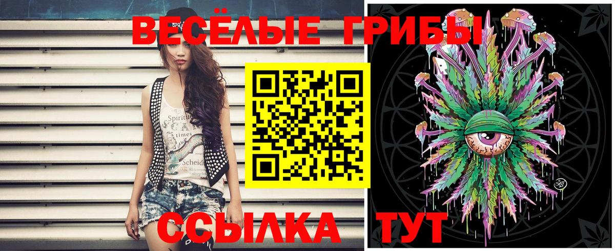 Серпухов  Галлюциногенные грибы прущие грибы  Псилоцибиновые грибы GOLDEN TEACHER  Вход с VPN 